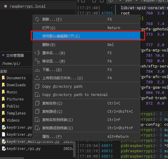 默认编辑器打开Linux上的文件